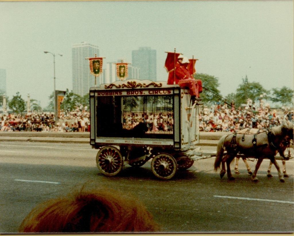 Chicago Parade 1983