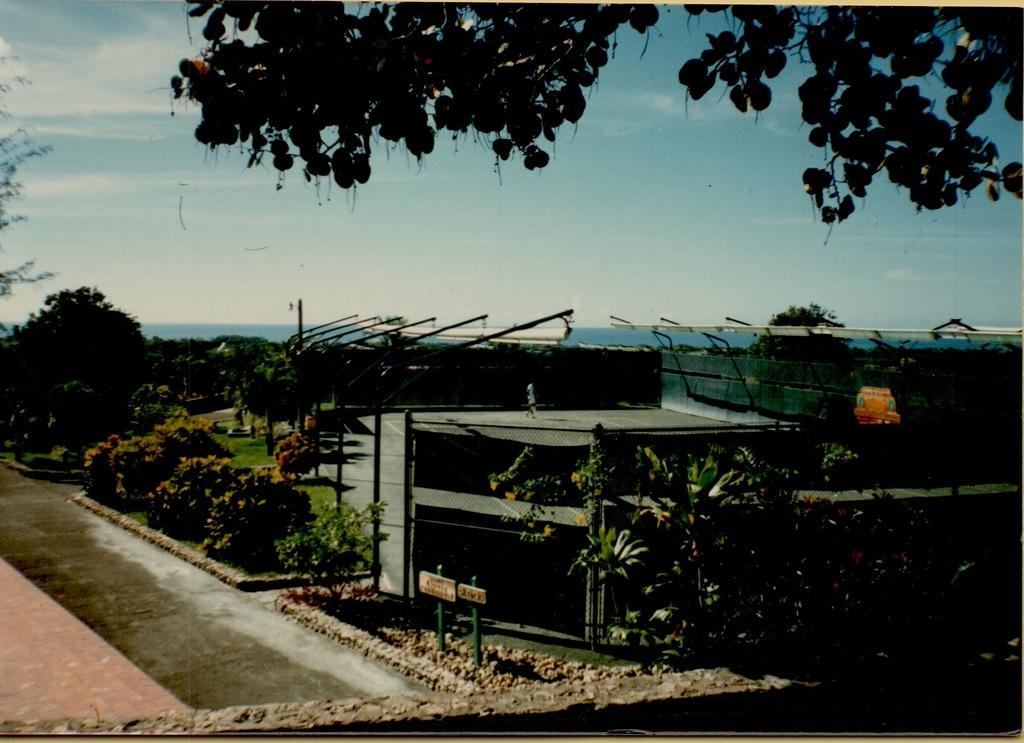 DBMS Trip to Casa de Campo 1988-63
