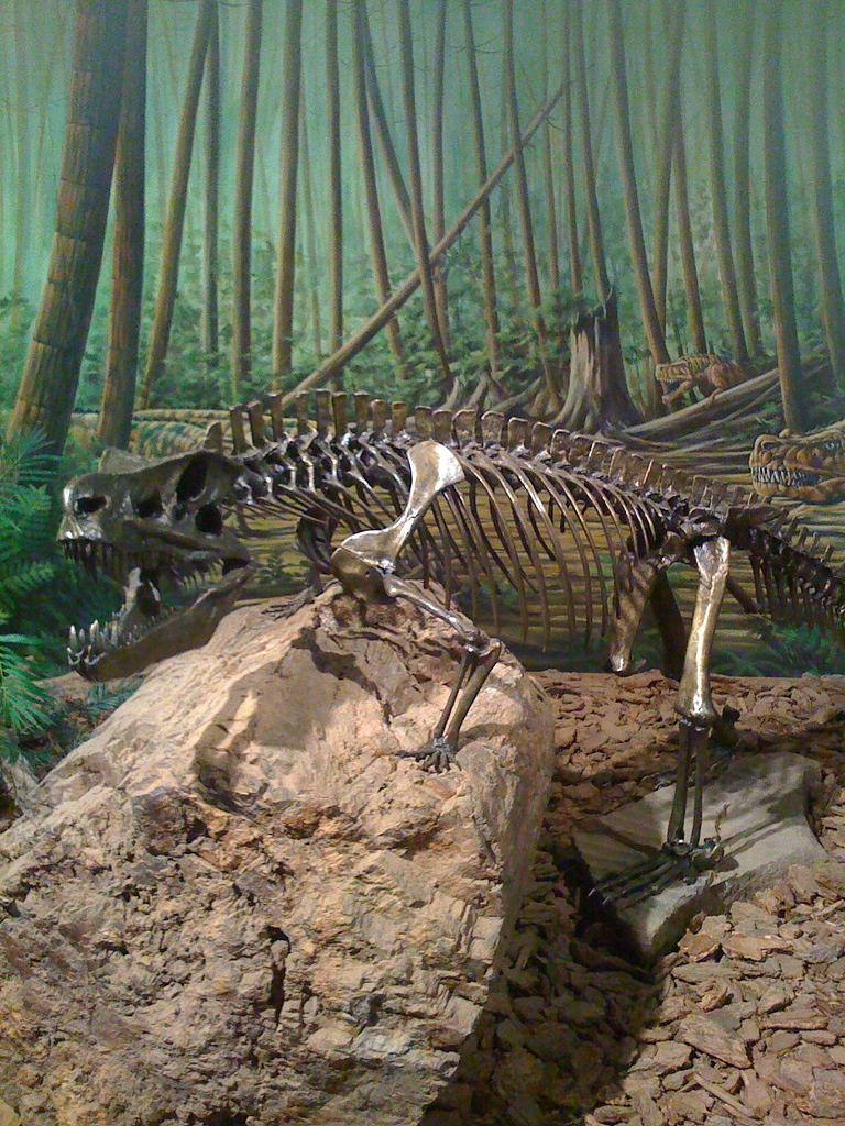 Mesalands Dinosaur Museum Tucumcari NM