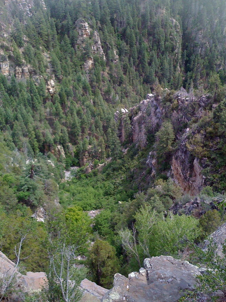 Oak Creek Canyon near Flagstaff