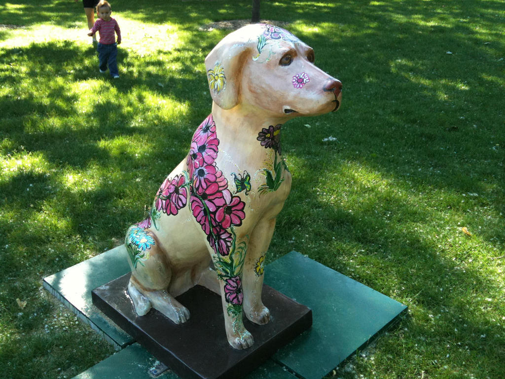 a Rainbow Hospice dog @ Centennial Park, PR