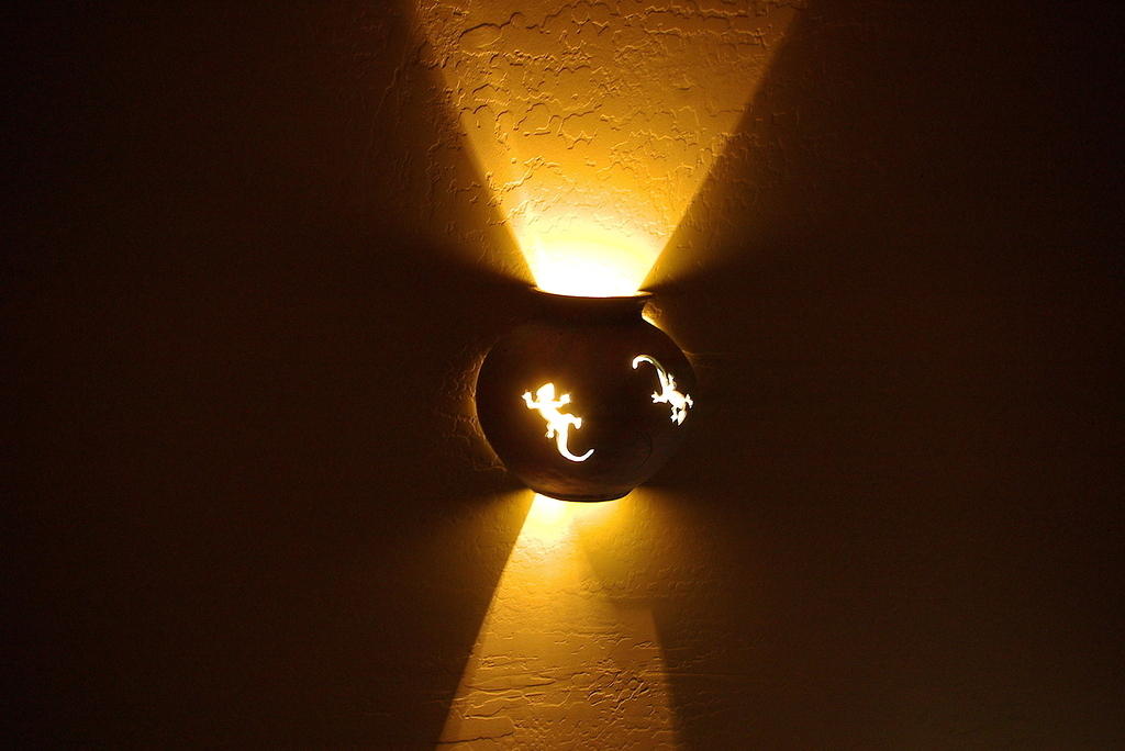 This is my new lamp in the stairwell for the spiral staircase going up to the master bedroom.  It's a Gecko.  Kinda artsy.  I lo