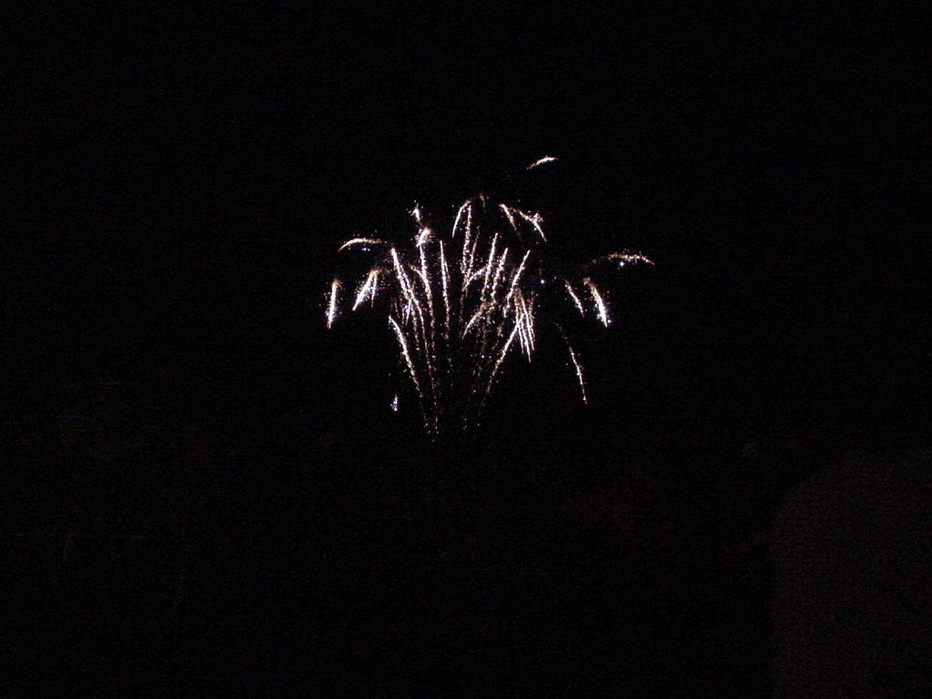 fireworks_019.jpg