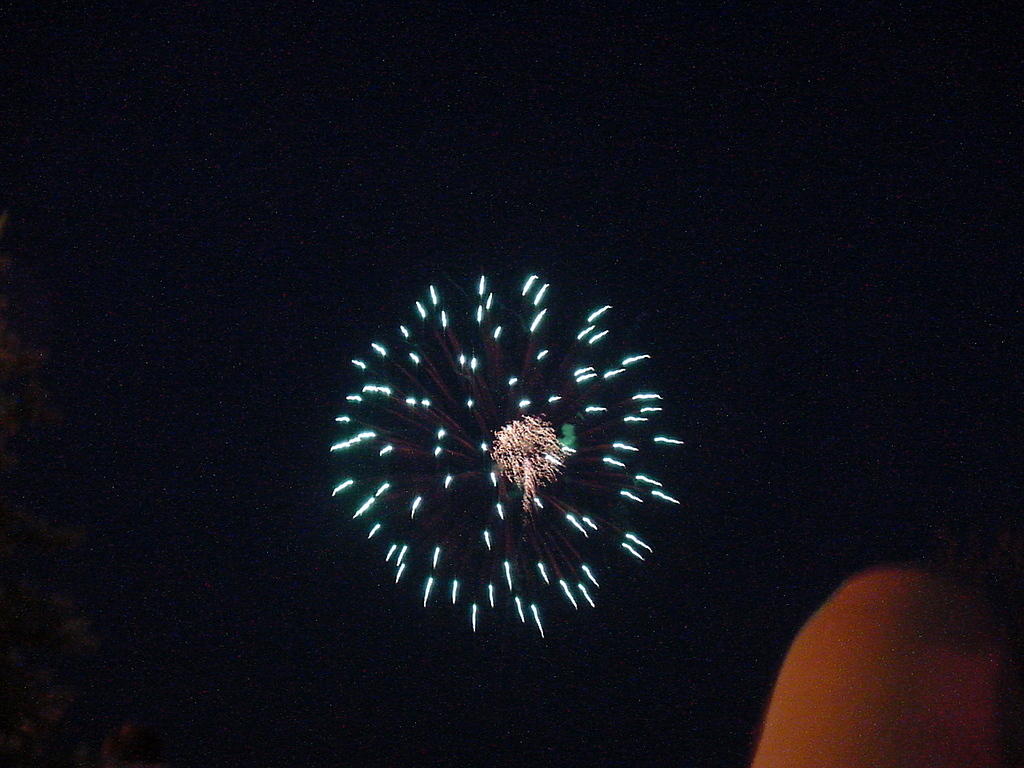 fireworks_031.jpg