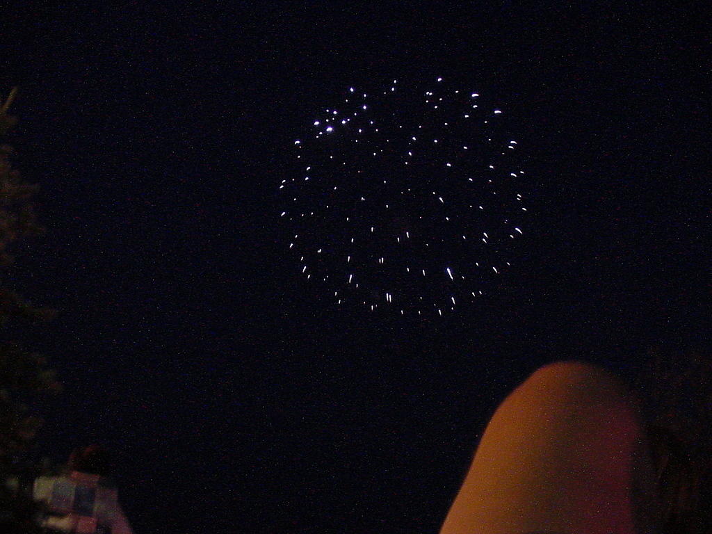 fireworks_033.jpg