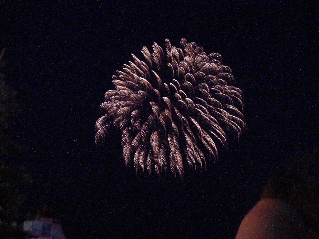 fireworks_043.jpg