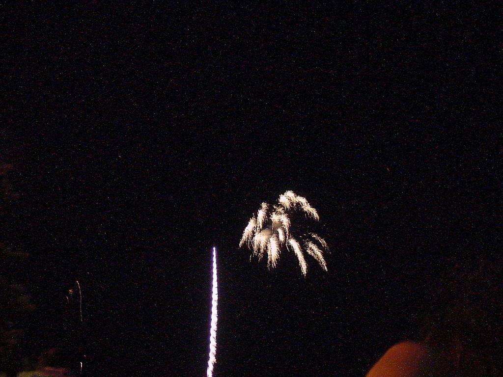 fireworks_047.jpg