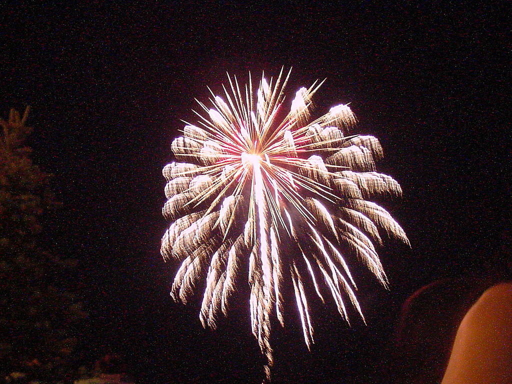 fireworks_062.jpg