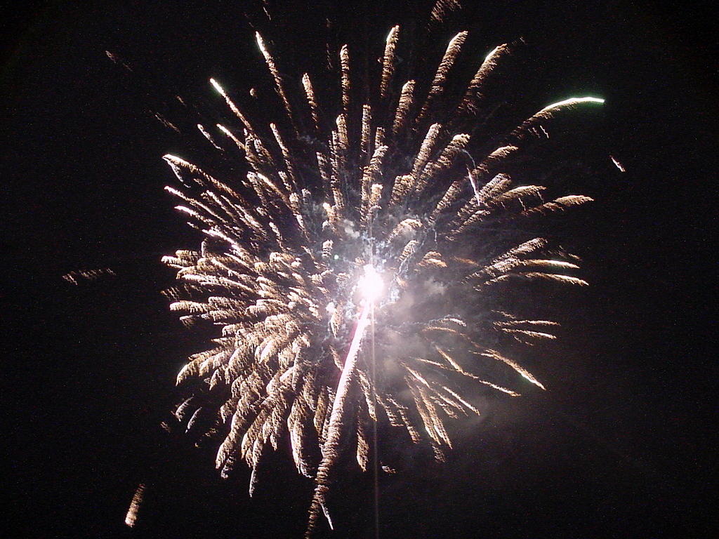 fireworks_100.jpg