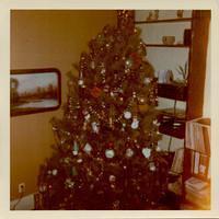 Elm Street Christmas 1972-2