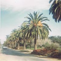 San Mateo, Calif 1/1967