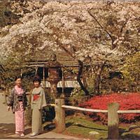 Japanese Gardens, Carmel Calif 1/1967