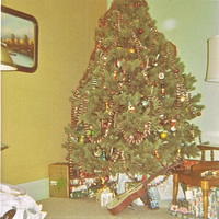 Musa Christmas 1969
