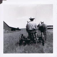 Creal Springs Farm 8/1950 Coy Kelley