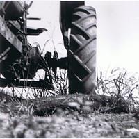 Tractor Tire that ran over Bob Musa 8/1950