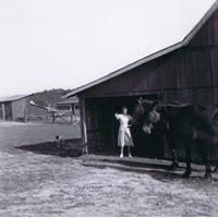 Susie Kelley Creal Springs Farm 8/1950