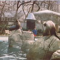  Central Park Zoo Karen's NY City Trip 1992