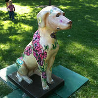 a Rainbow Hospice dog @ Centennial Park, PR
