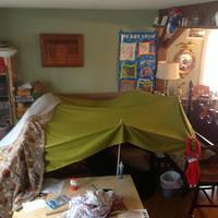Fort after the Flu