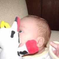 Michael kissing his cow while sitting in the glider.