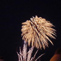 fireworks_038.jpg