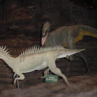 Dino_Museum_03.jpg