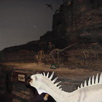 Dino_Museum_04.jpg