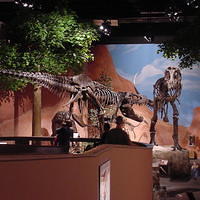 Dino_Museum_14.jpg