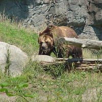 2004-07-18 - Woodland Park Zoo