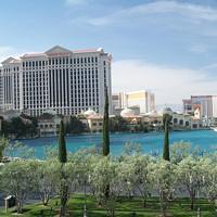 The reflecting pool at the Bellagio